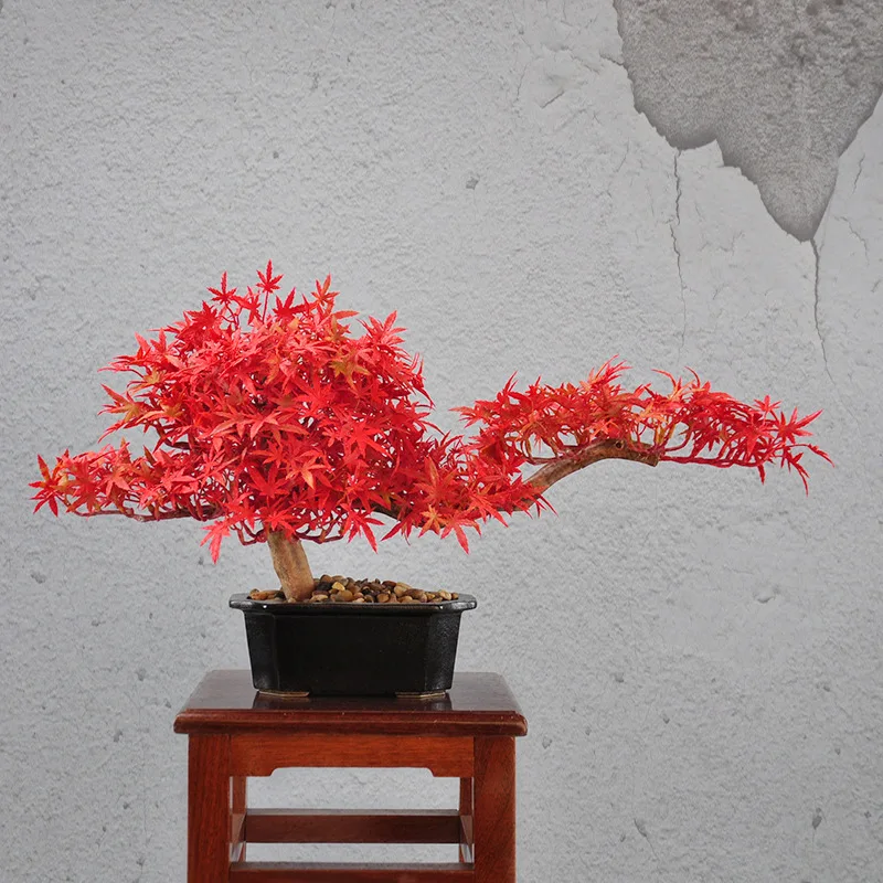 Hiina teretulnud mänd bonsai kaunistused loominguline puidust rhododendron bonsai kodu veranda hotel club pehme teenetemärgid Pilt 2
