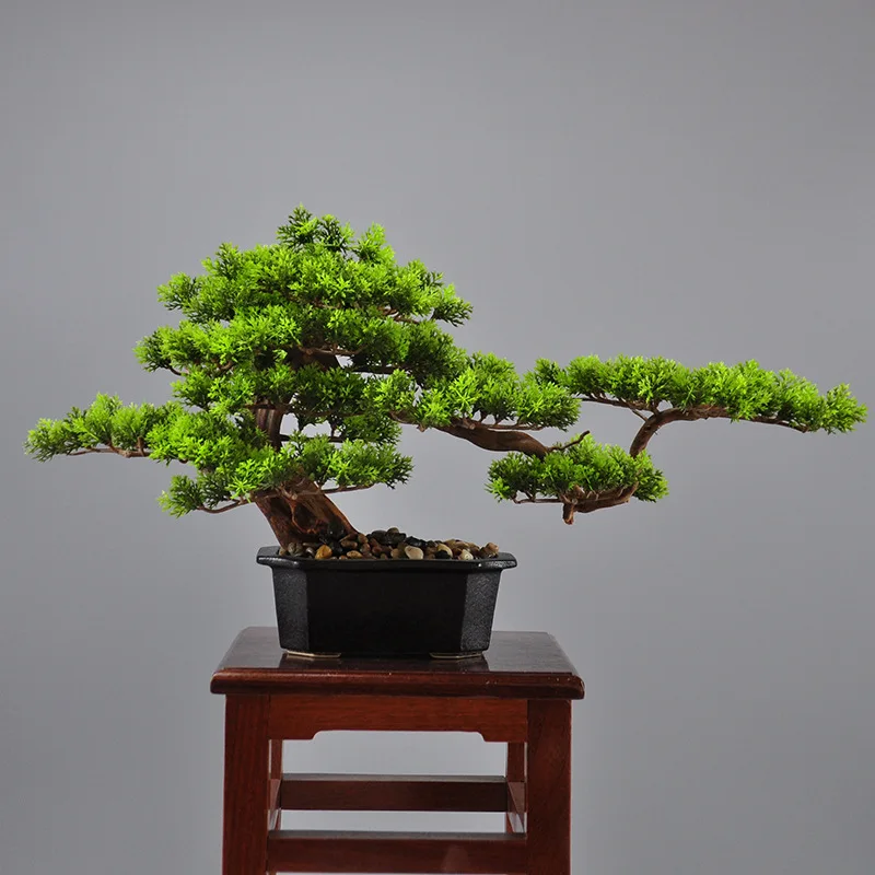 Hiina teretulnud mänd bonsai kaunistused loominguline puidust rhododendron bonsai kodu veranda hotel club pehme teenetemärgid Pilt 5