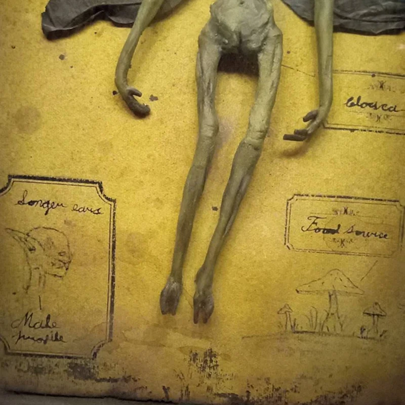 3D Gooti home decor Mummified haldjas Haldjas skelett Witchy decor Haldjas proovis Kuju pildiraamid Ekraan Maali Pilt 2
