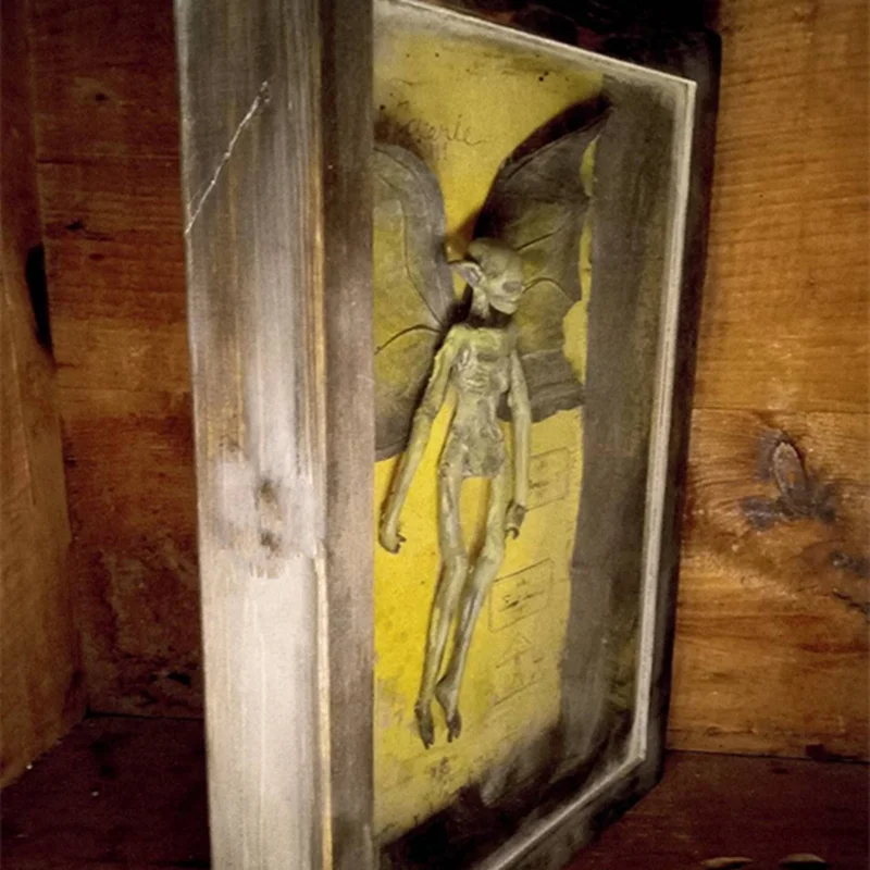 3D Gooti home decor Mummified haldjas Haldjas skelett Witchy decor Haldjas proovis Kuju pildiraamid Ekraan Maali Pilt 3