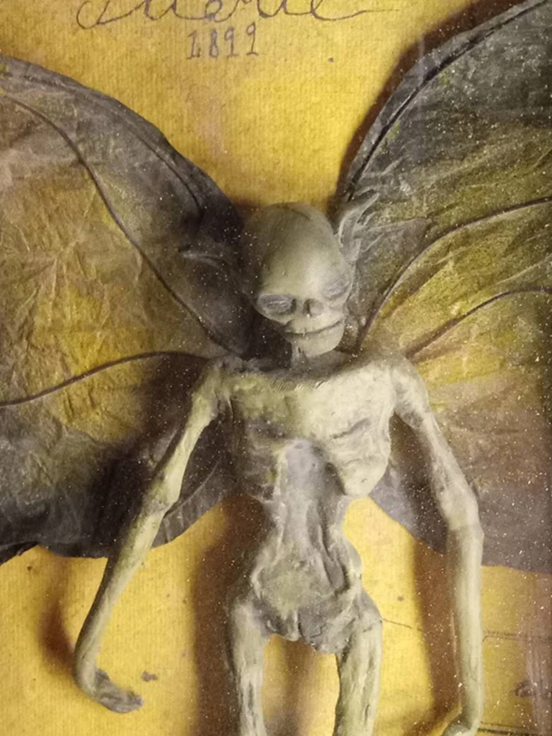 3D Gooti home decor Mummified haldjas Haldjas skelett Witchy decor Haldjas proovis Kuju pildiraamid Ekraan Maali Pilt 4